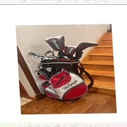 hit lose Champion the Course with Elite Complete Golf Sets