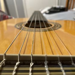 Guitar 