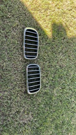 BMW X5 Grill Inserts
