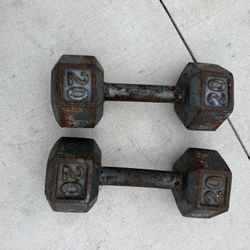 20 Lbs Dumbbells 