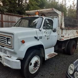 Dump Truck no CDL