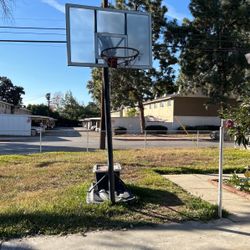 Basketball Hoop