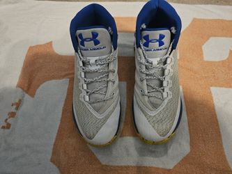Under Armor Steph Curry "Dub Nayion." Shoes