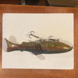 Trout Swim bait