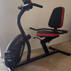 VANSWE Recumbent Exercise Bike