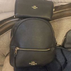 Coach, Backpack And Wallet