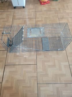 Animal trap