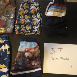 3T Swim Trunks 