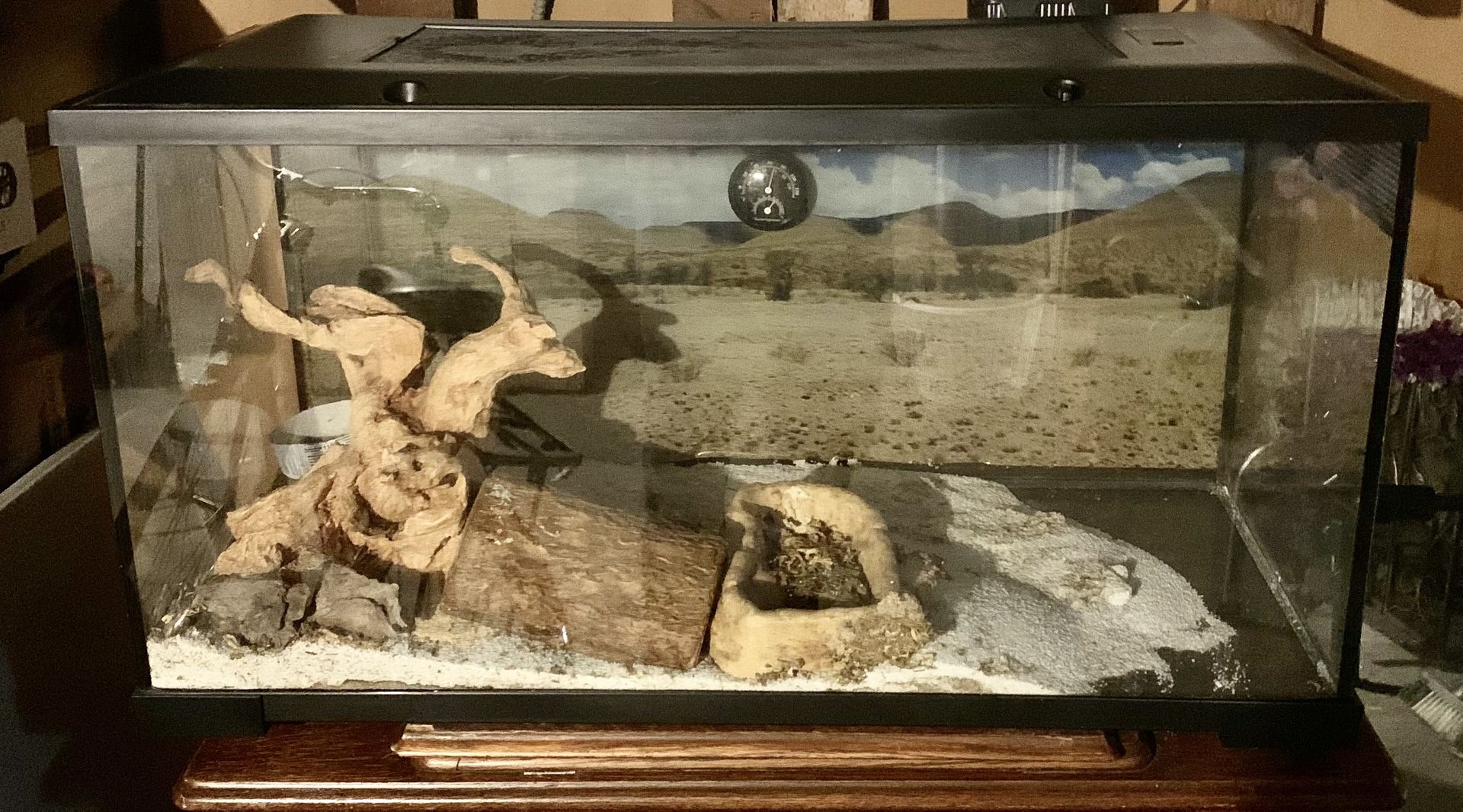 Large Reptile Glass Tank 