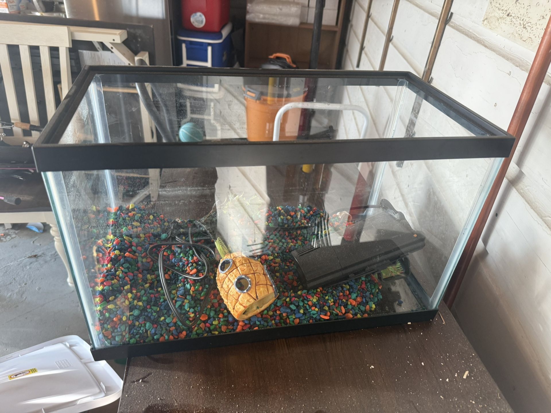 Fish Tank 10 Gallon