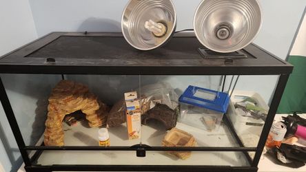 Lizard/Reptile tank kit