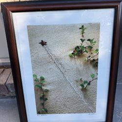Two Pictures And Frames And One Print