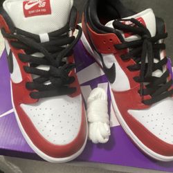 Chicago SB Nike Dunks