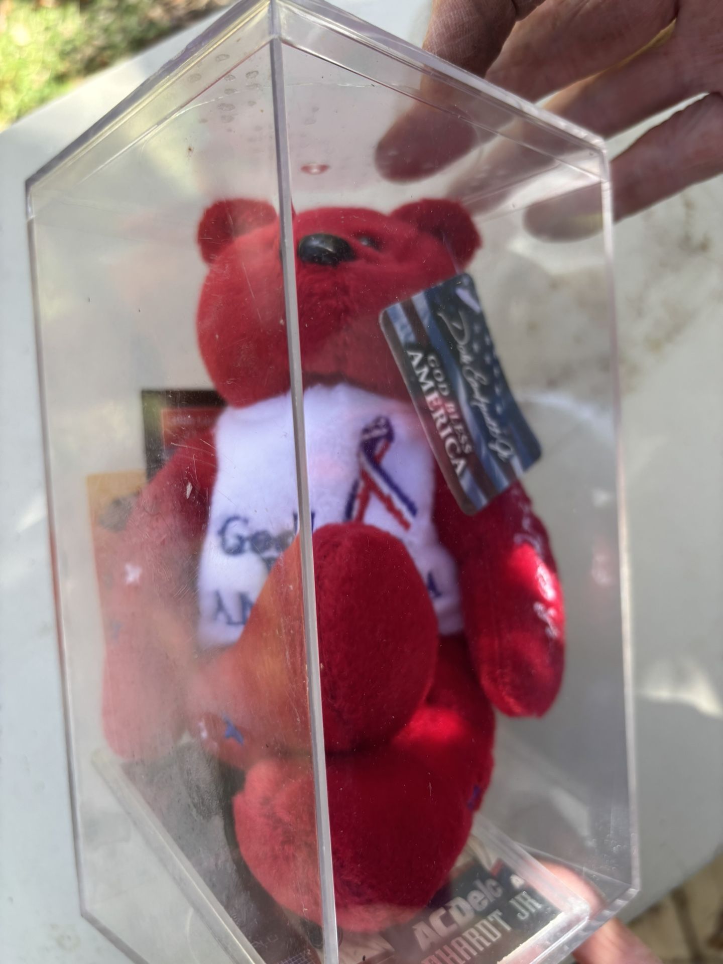 Dale Earnhardt Junior Beanie Baby