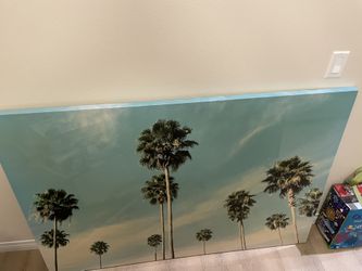 Large Picture Frame Palm Trees 