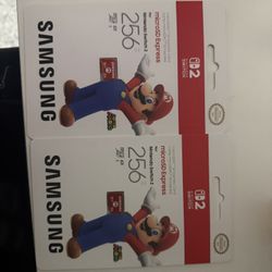 Nintendo Switch 256GB Memory Card 