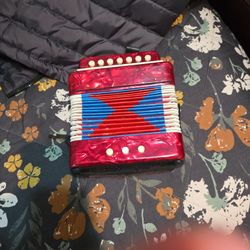 A VERY NICE ACCORDION IN EXCELLENT CONDITION 