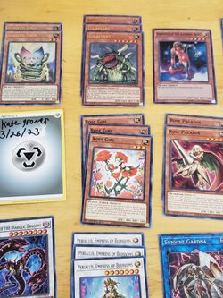 Yugioh Sunavalon Sylvan Plant Deck Core 60 Cards for Sale in Wheaton, IL -  OfferUp