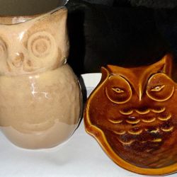 Owl Set