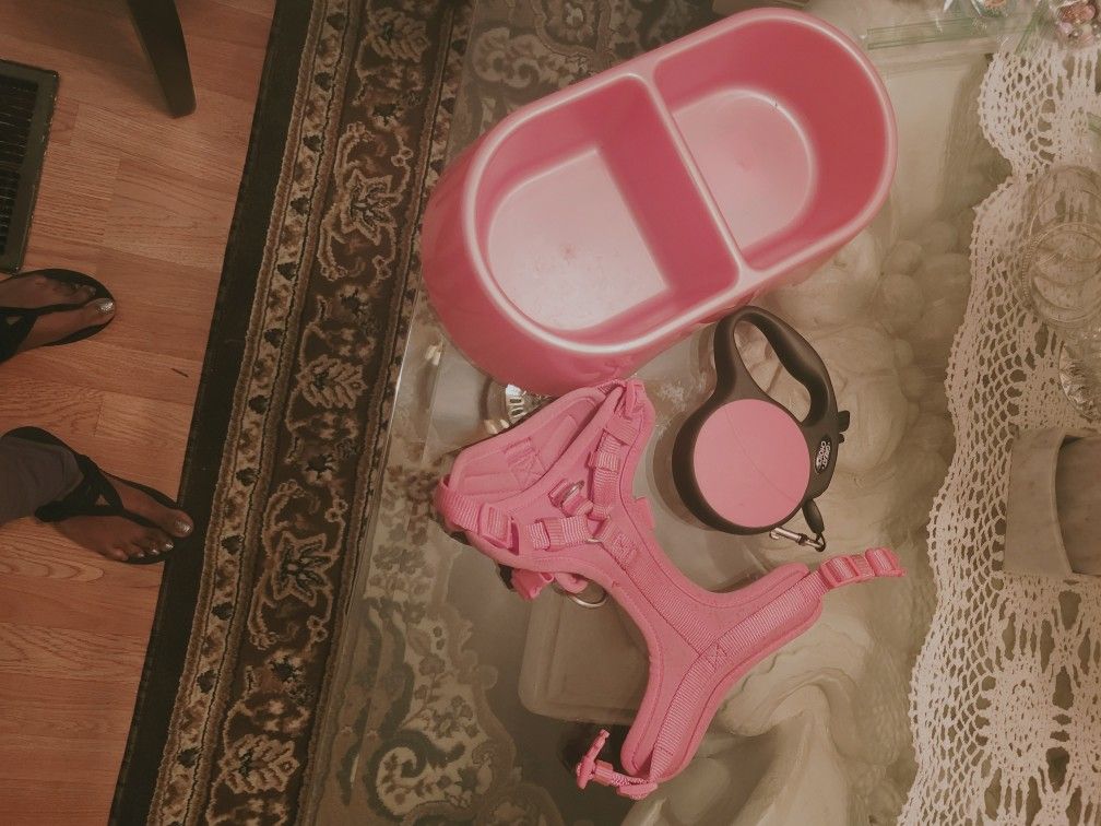 Pink Dog Dish, Harness & Leash