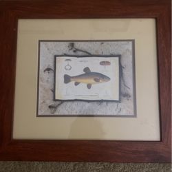 Fish 13x15 Picture With Frame 