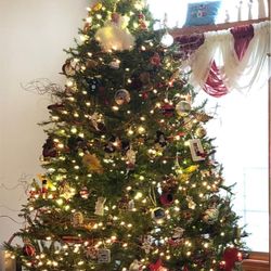 6.5 Christmas Tree (no Lights Or Ornaments)