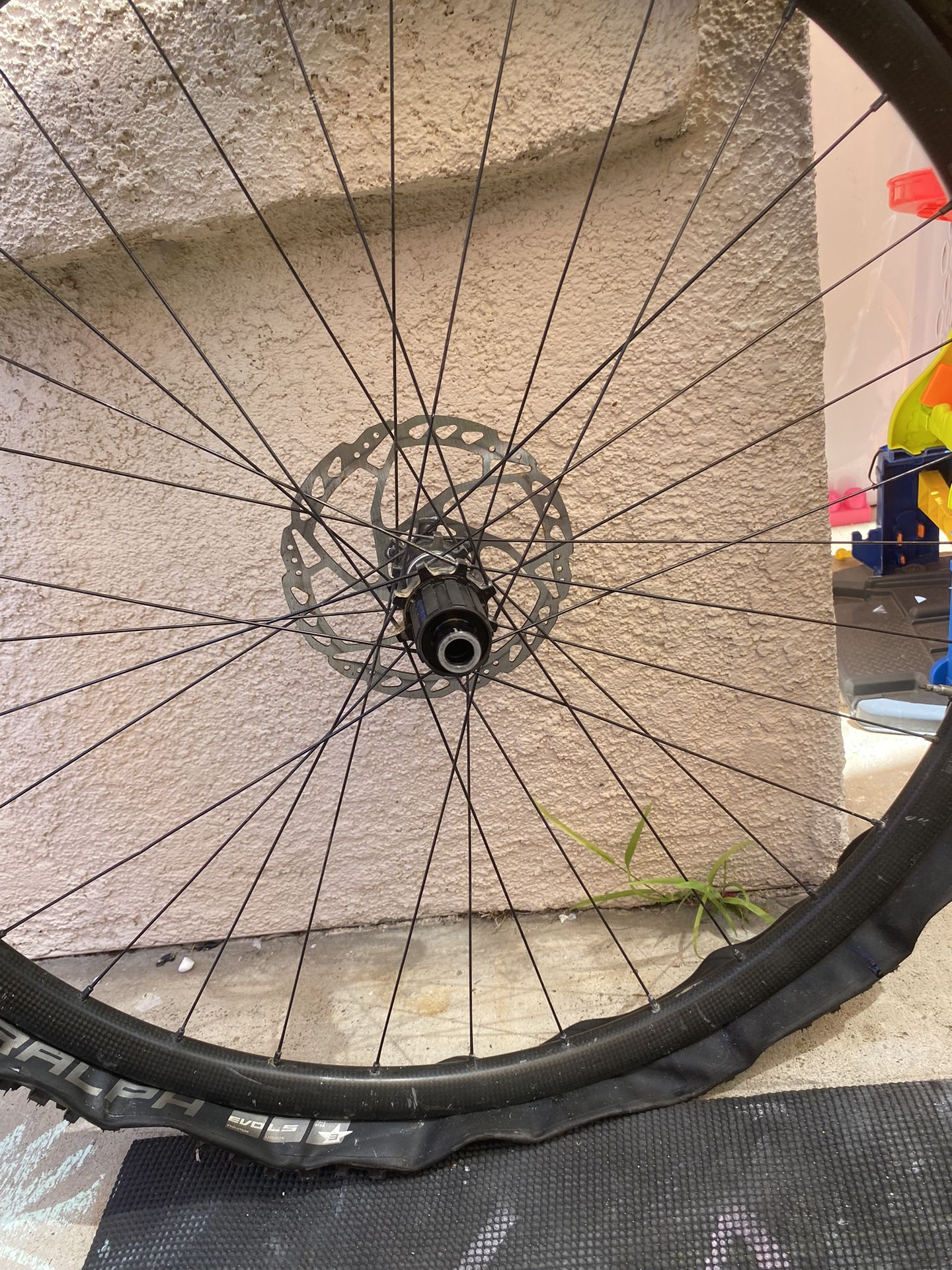 roval wheelset 29er
