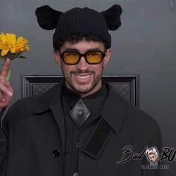 Bad Bunny Banner