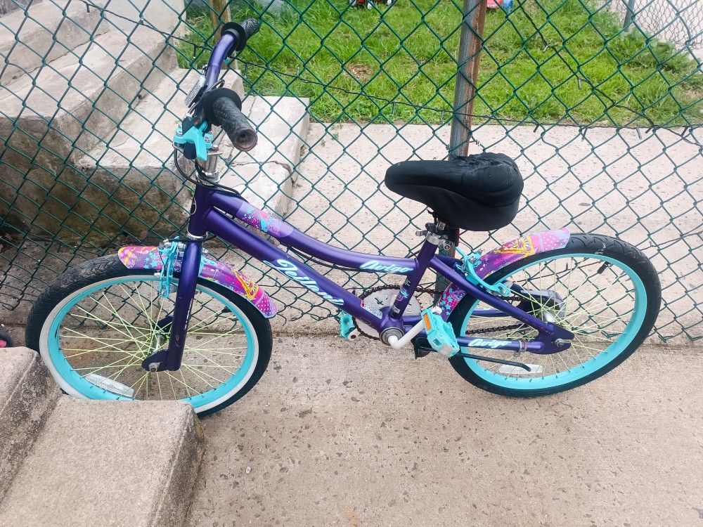 20 Inch Girls Bike