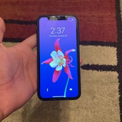 iPhone XR
