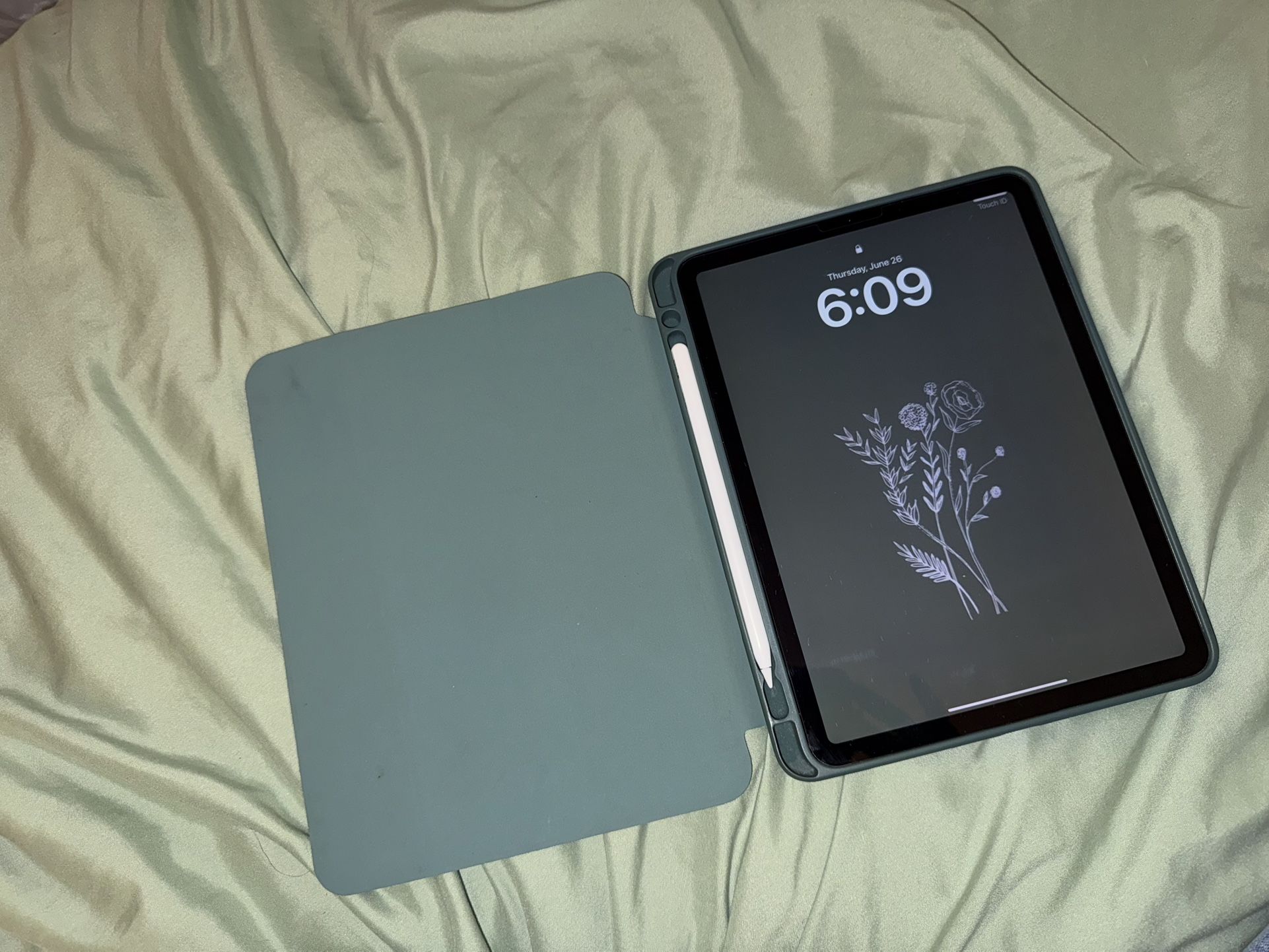 iPad Air 4 256GB Green