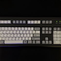 IBM Unicomp Model M Full Size Keyboard
Buckling Springs White and grey