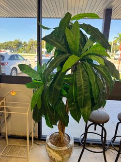 Large Artificial Tropical Tree with Decorative Pot