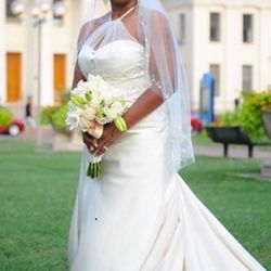Wedding Dress Champagne size 12