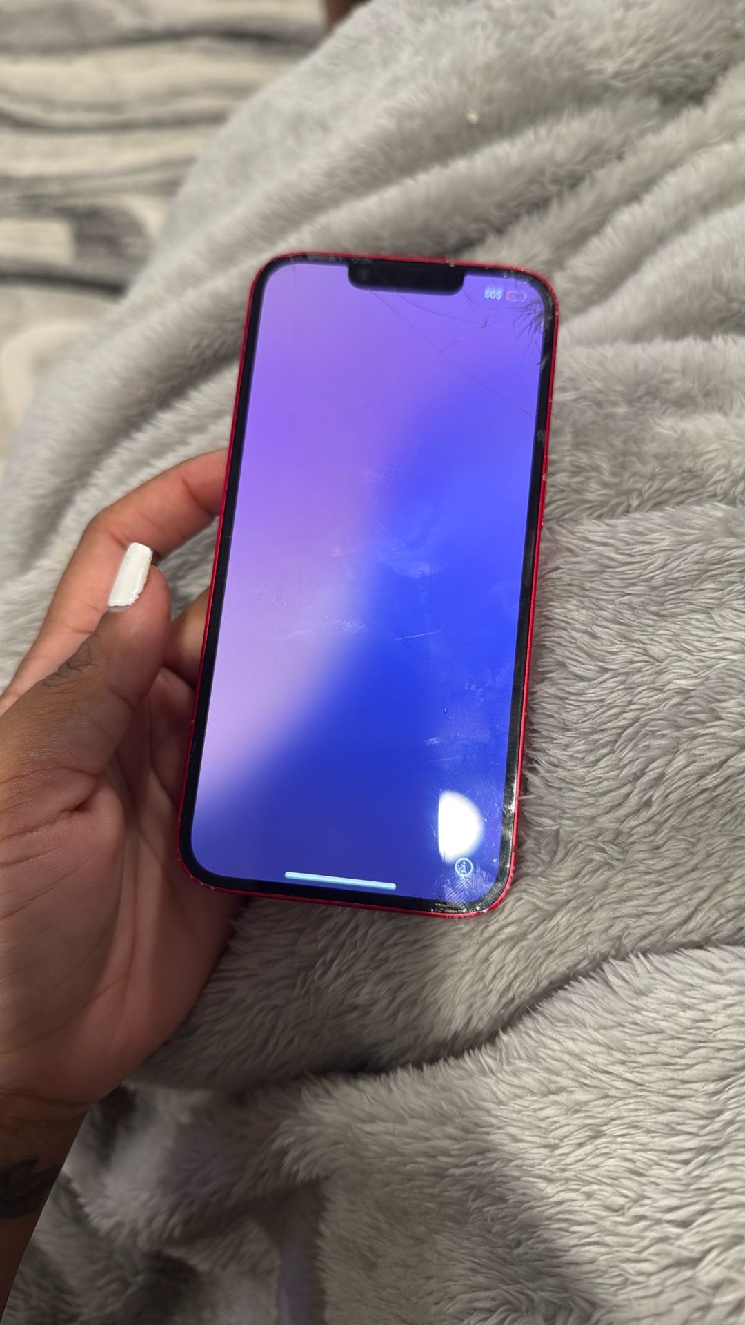 iPhone 14