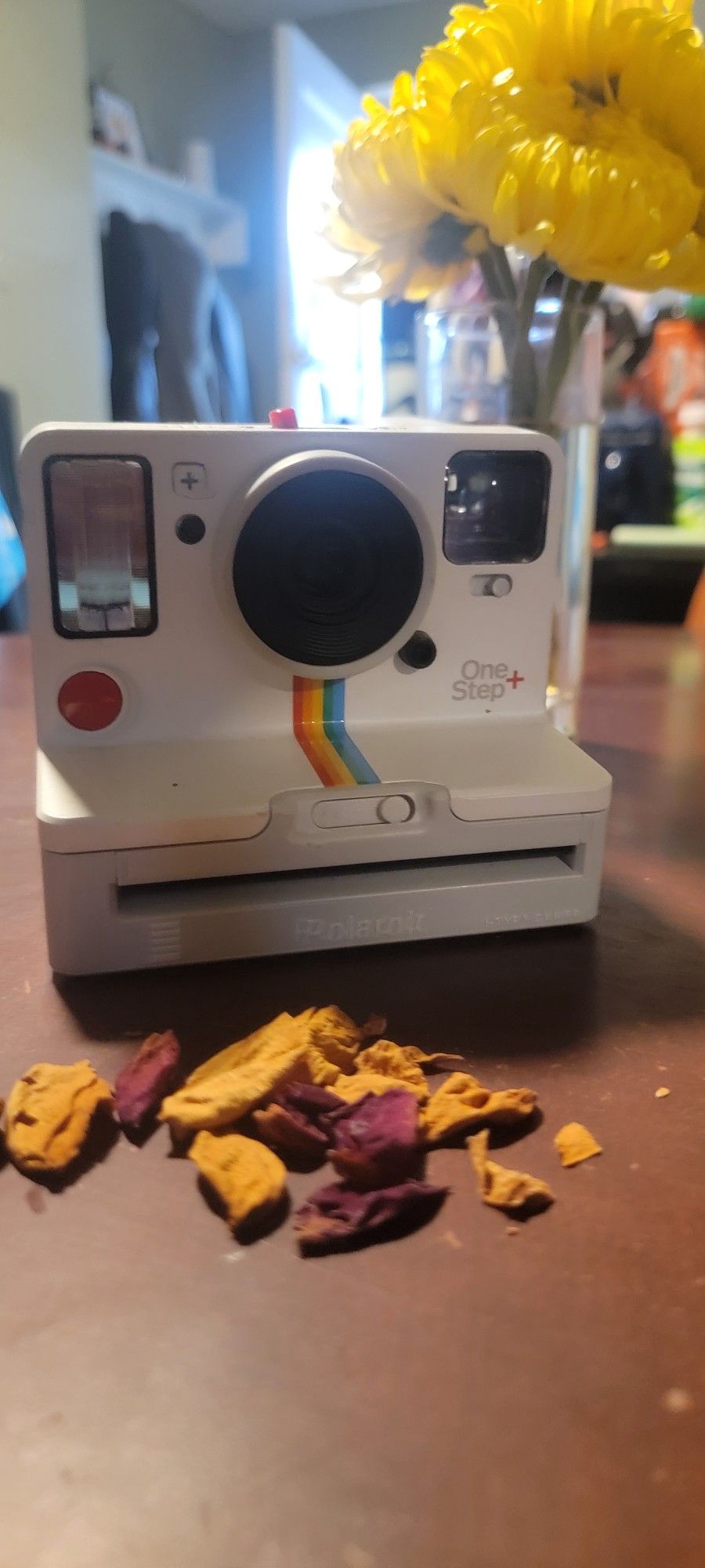Polaroid OneStep 2 Camera
