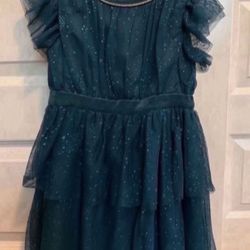 Toddler Girl Dress Size 4t - Pickup From Northridge Area