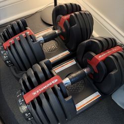 Bowflex Selectech 552