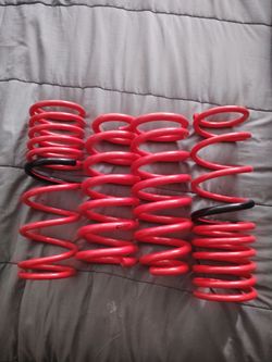 Tanabe lowering springs
