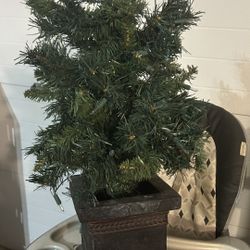 Artificial table top tree 24”T in decorative heavy duty base