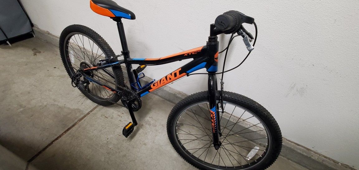 Giant XTC Jr Bike 24" (Ages 8-12)