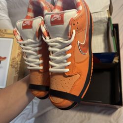 Orange Lobsters SPECIAL BOX