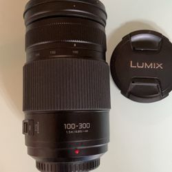 Panasonic 100-300mm Lens 