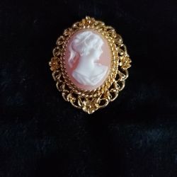 Elegant Cameo Pin /Brooch 
