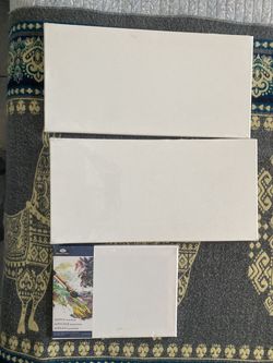 3 blank canvases for $5