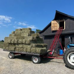HAY 