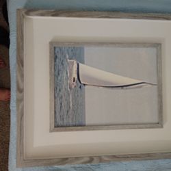 2 Sailboat Pictures 