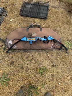 Bow and tree stand