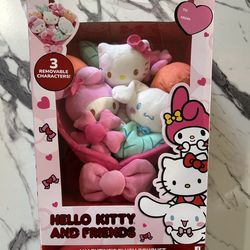 Hello kitty Bouquet Plushies Brand New