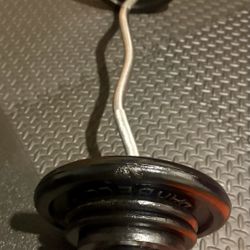 Standard Curl Bar with Weight Plates: 25s, 10s, 7.5s and 5 pounders. Brute Weigh: 109#